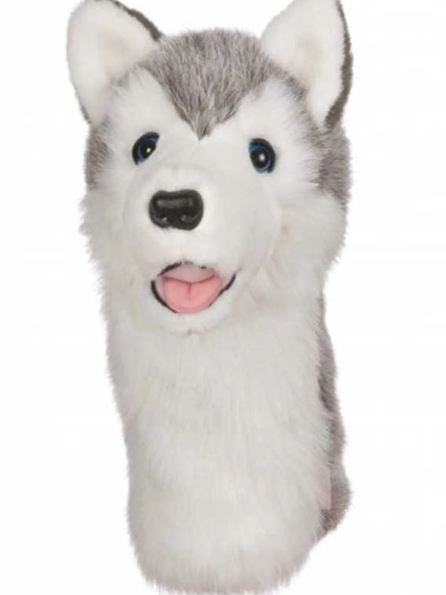 Daphne Huskey Headcover